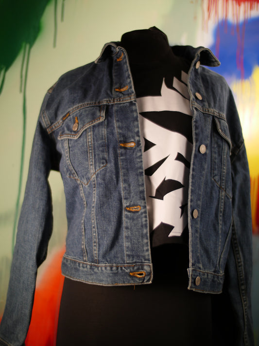 Yayoi kusama with rose border jacket